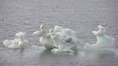 POLAR BEAR HOAX - picture was taken in August, “when every year the fringes of the Arctic ice cap melt regardless of the wider effects of global warming"