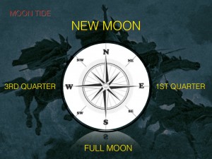 moon-tide_w_comp-val